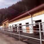 Projekte GERHARDTER BAU - Reitsportarena Schladming
